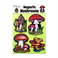 Mushroom Magnet Set: Witchcraft Fairy Forest Decor.